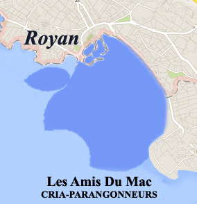 Home Page Image